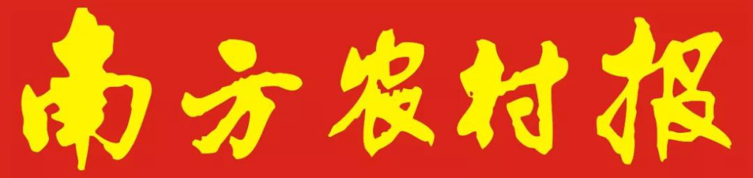 南方农村报.png