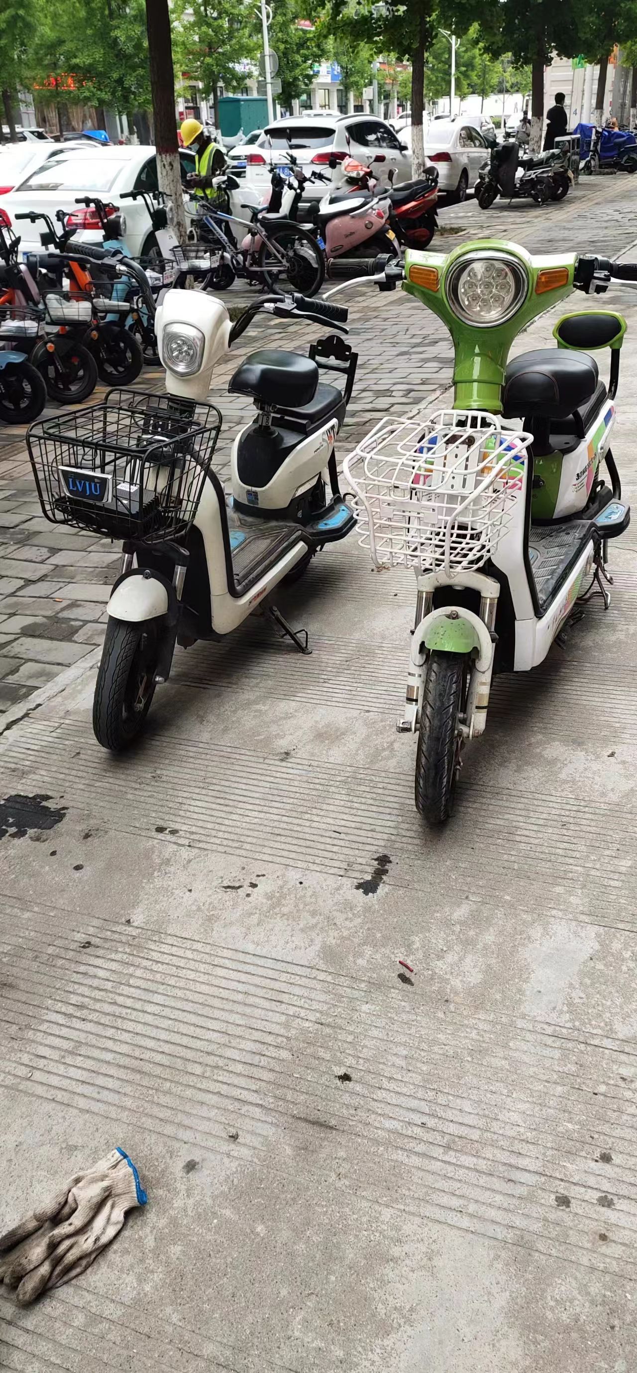 mmexport1650101564391.jpg