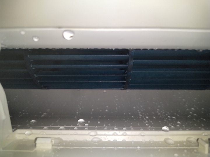 IMG_20250703_120105.jpg